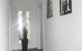 Prenociste Ljiljana 2